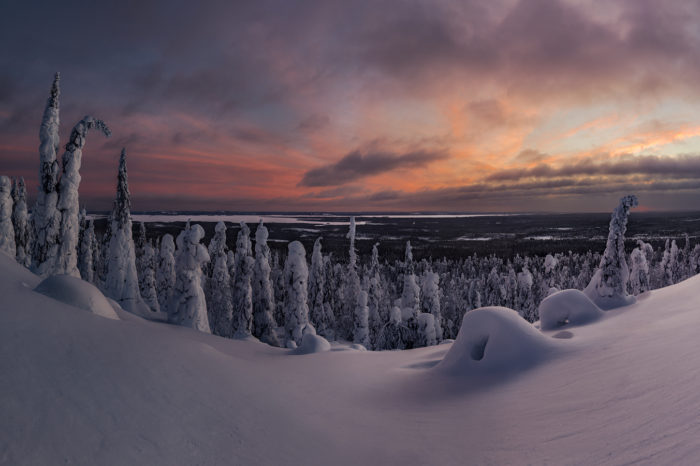 Lapland, infinite forests and northern lights
